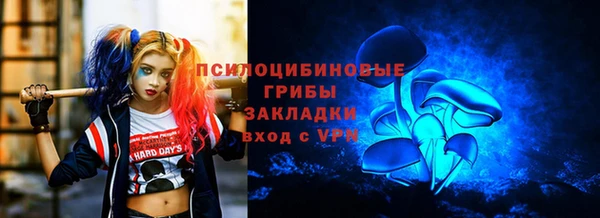 спиды Алексин