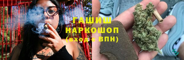 стафф Кодинск