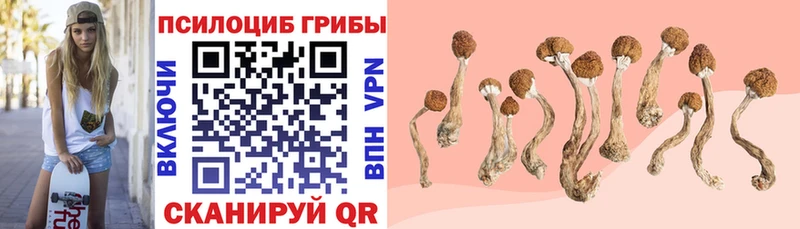 Псилоцибиновые грибы Magic Shrooms  Абдулино 